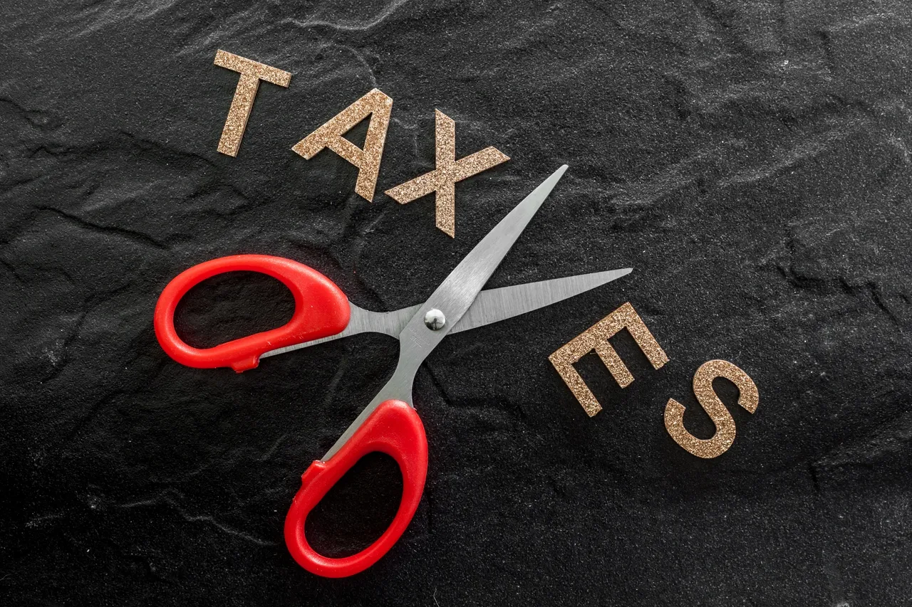 Vote YourSelf a Tax Cut!